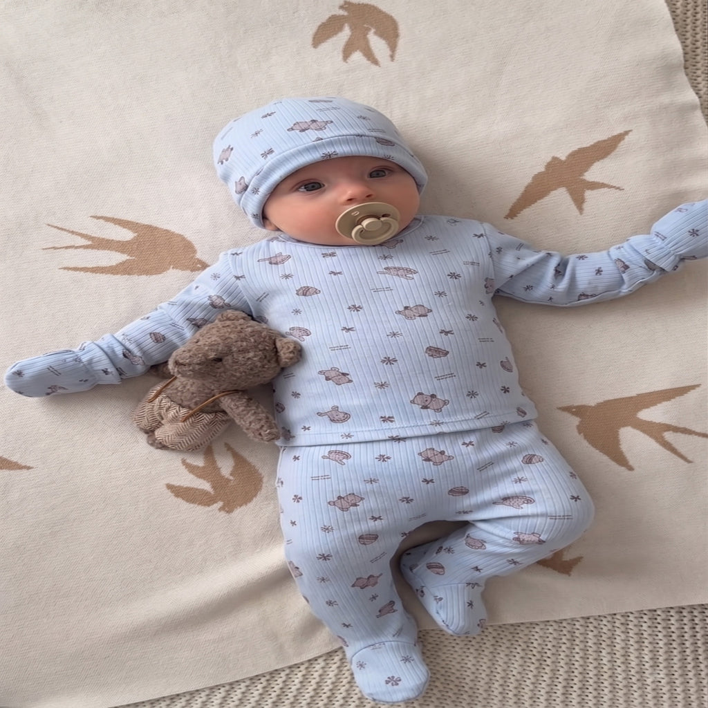 Erkek Bebek %100 Pamuklu 5’li Yenidoğan Hastane Çıkışı Seti | 0-3 Ay